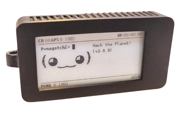 Pwnagotchi In black case with braided cable