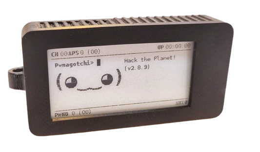 Pwnagotchi In black case with braided cable